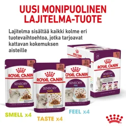 Sensory Smell Gravy 85g, 48-pack>Royal Canin Best