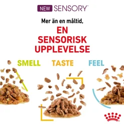 Sensory Taste Gravy 85g, 48-pack>Royal Canin Hot