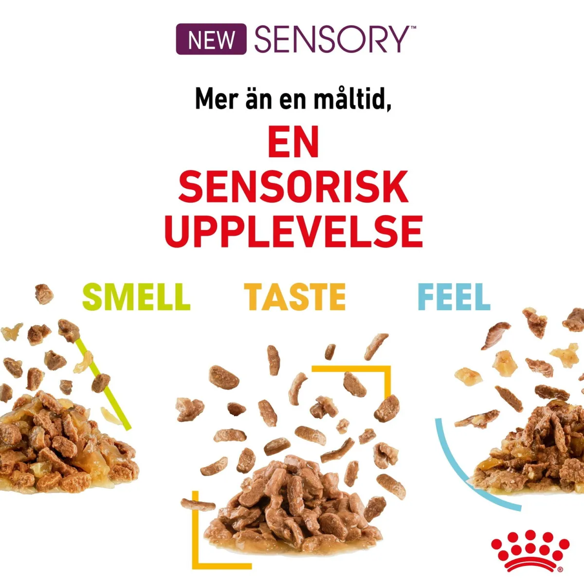 Sensory Taste Gravy 85g, 48-pack>Royal Canin Hot