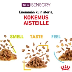 Sensory Taste Gravy 85g, 48-pack>Royal Canin Hot