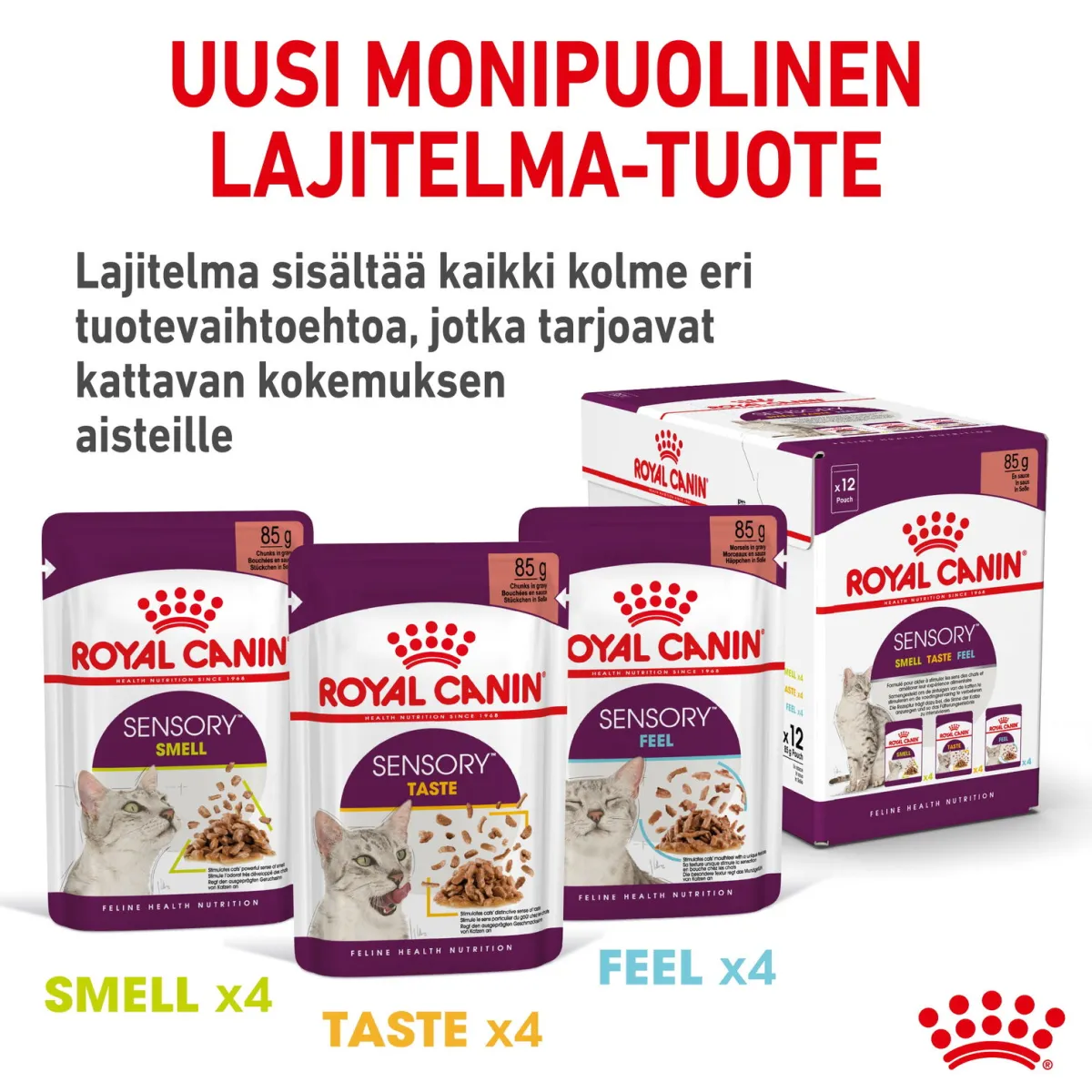 Sensory Taste Gravy 85g, 48-pack>Royal Canin Hot