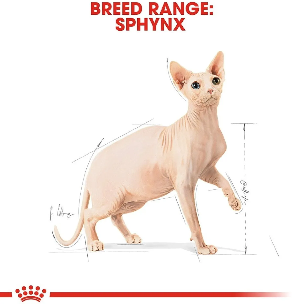 Sphynx>Royal Canin Sale