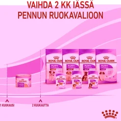 Starter Mother & Babydog>Royal Canin