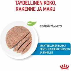 Starter Mother & Babydog>Royal Canin