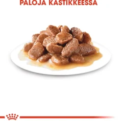 Sterilised Gravy, 12x85g>Royal Canin Hot