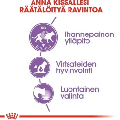 Sterilised Jelly 85g, 48-pack>Royal Canin Outlet