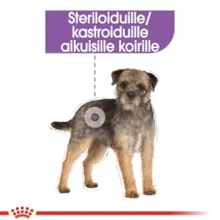 Sterilised wet 12 x 85 g>Royal Canin New