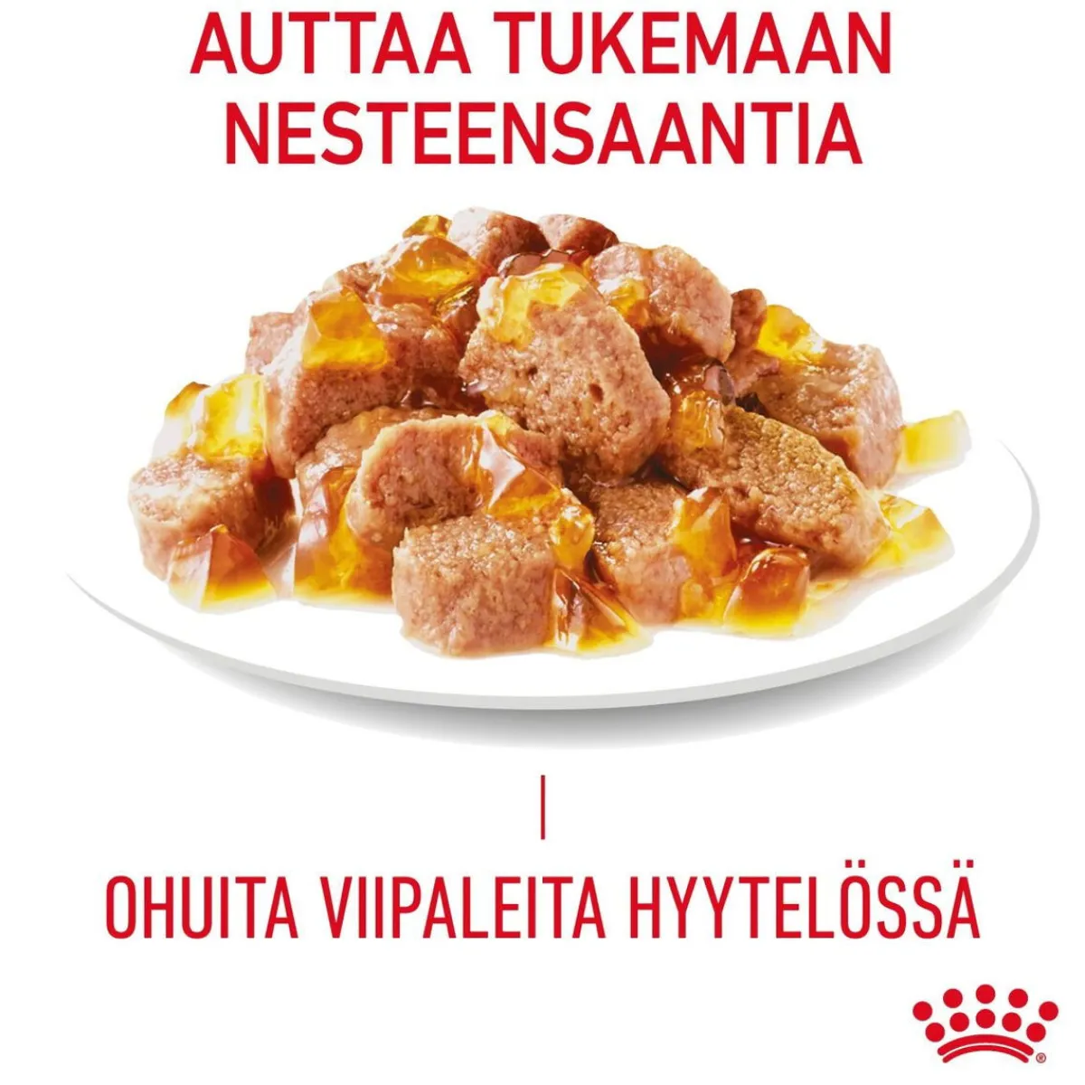 Ultra Light Jelly 85g, 48-pack>Royal Canin Best