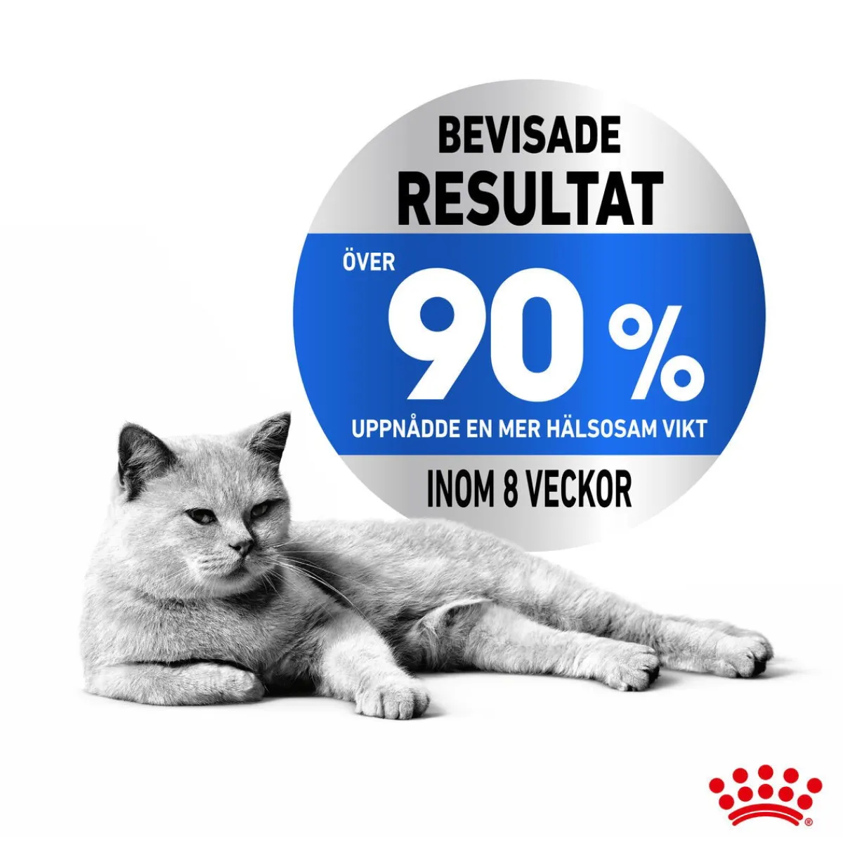 Ultra Light Jelly 85g, 48-pack>Royal Canin Best