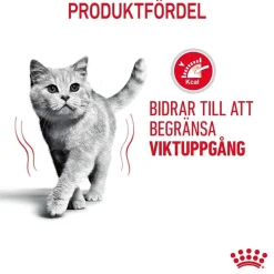 Ultra Light Jelly 85g, 48-pack>Royal Canin Best