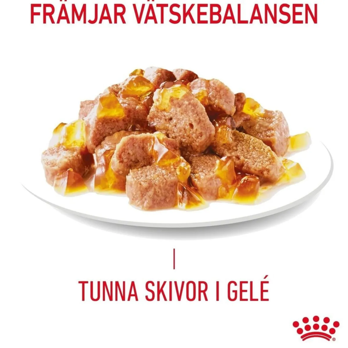Ultra Light Jelly 85g, 48-pack>Royal Canin Best