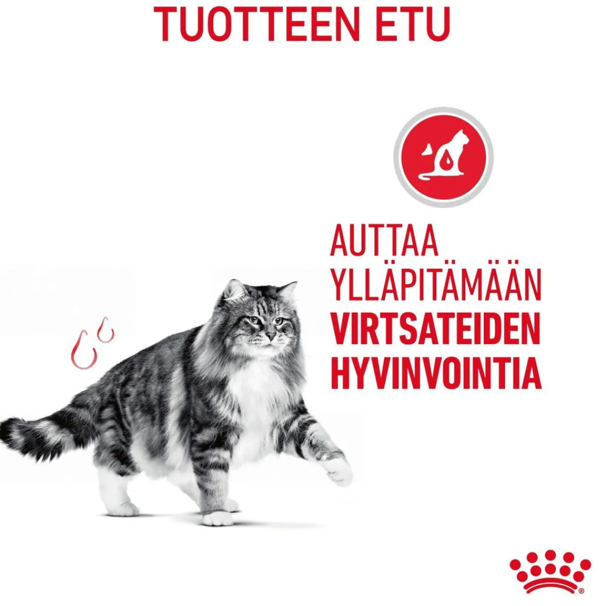 Urinary Care Gravy 12x85g>Royal Canin New