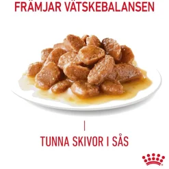 Urinary Care Gravy 85g, 48-pack>Royal Canin Online