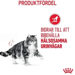 Urinary Care Gravy 85g, 48-pack>Royal Canin Online