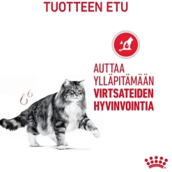 Urinary Care Gravy 85g, 48-pack>Royal Canin Online