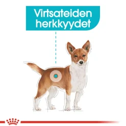 Urinary Care Mini>Royal Canin Hot