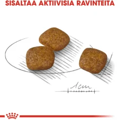 Urinary Care Mini>Royal Canin Hot
