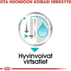 Urinary Care wet 12 x 85 g>Royal Canin Online