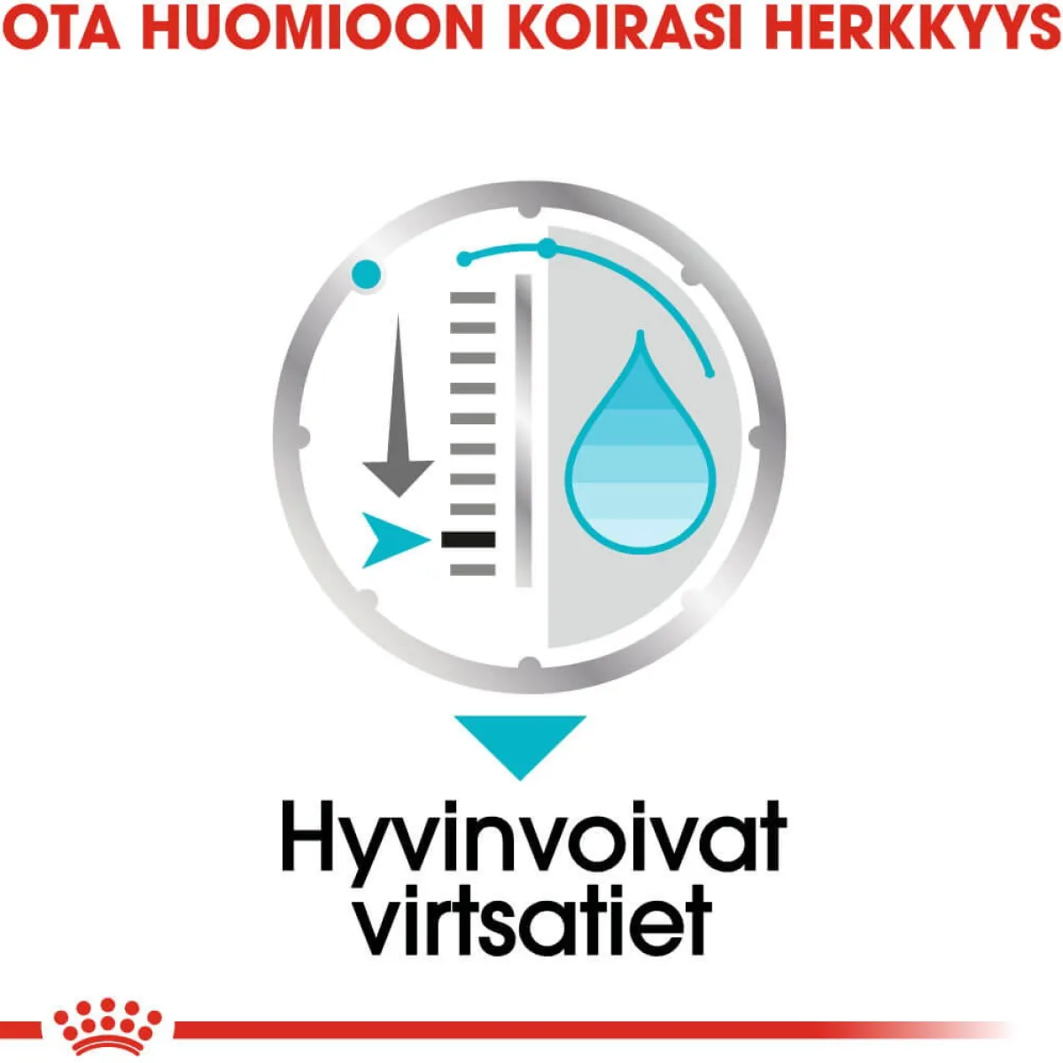 Urinary Care wet 12 x 85 g>Royal Canin Online