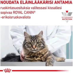 Cat Gastrointestinal Hairball>Royal Canin Veterinary Diets Discount