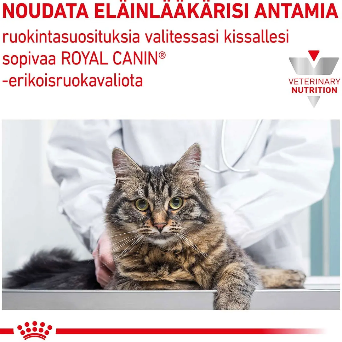 Cat Gastrointestinal Hairball>Royal Canin Veterinary Diets Discount
