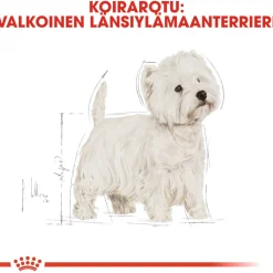 West Highland White Terrier>Royal Canin Online