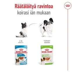 XS Adult märkäruoka 12 x 85 g>Royal Canin Best