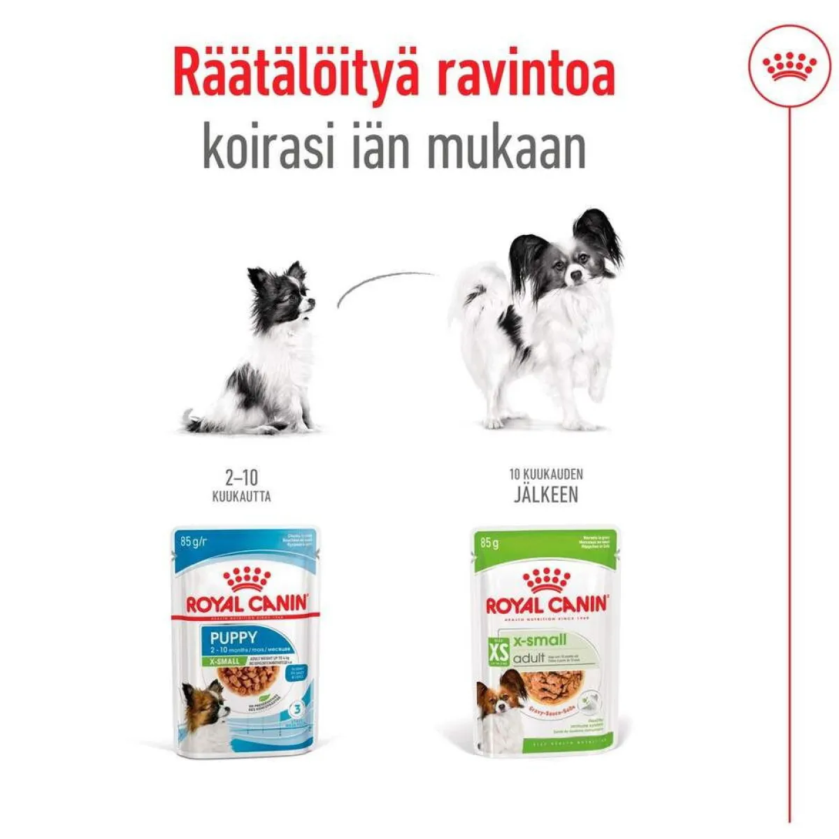 XS Adult märkäruoka 12 x 85 g>Royal Canin Best