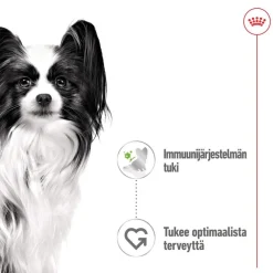 XS Adult märkäruoka 12 x 85 g>Royal Canin Best