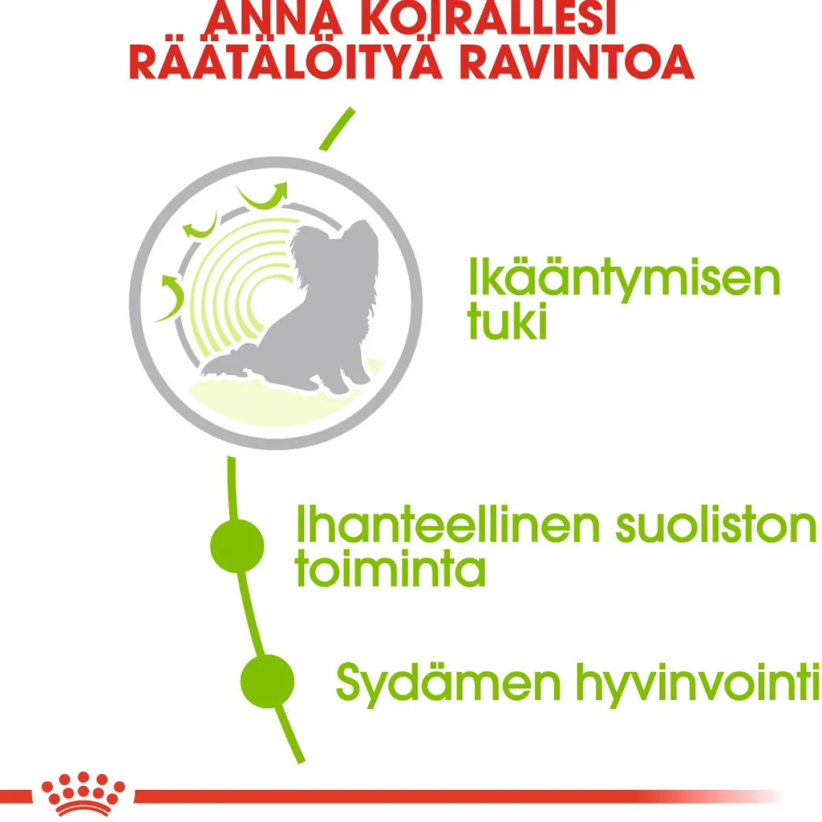 X-Small Ageing +12, 1.5 kg>Royal Canin Outlet