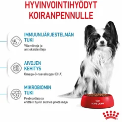 X-Small Puppy>Royal Canin Sale