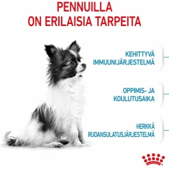X-Small Puppy>Royal Canin Sale