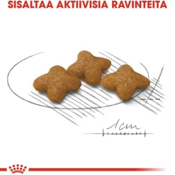 X-Small Sterilised 1,5 kg>Royal Canin Sale