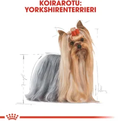 Yorkshire Terrier Adult>Royal Canin Best