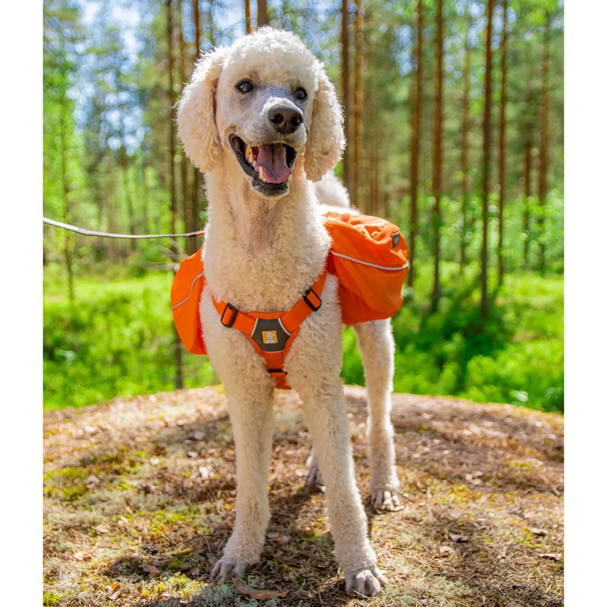 Approach Pack reppu koiralle, oranssi>RuffWear