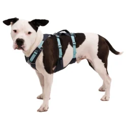 Flagline valjaat, harmaa>RuffWear Best