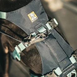 Flagline valjaat, harmaa>RuffWear Best
