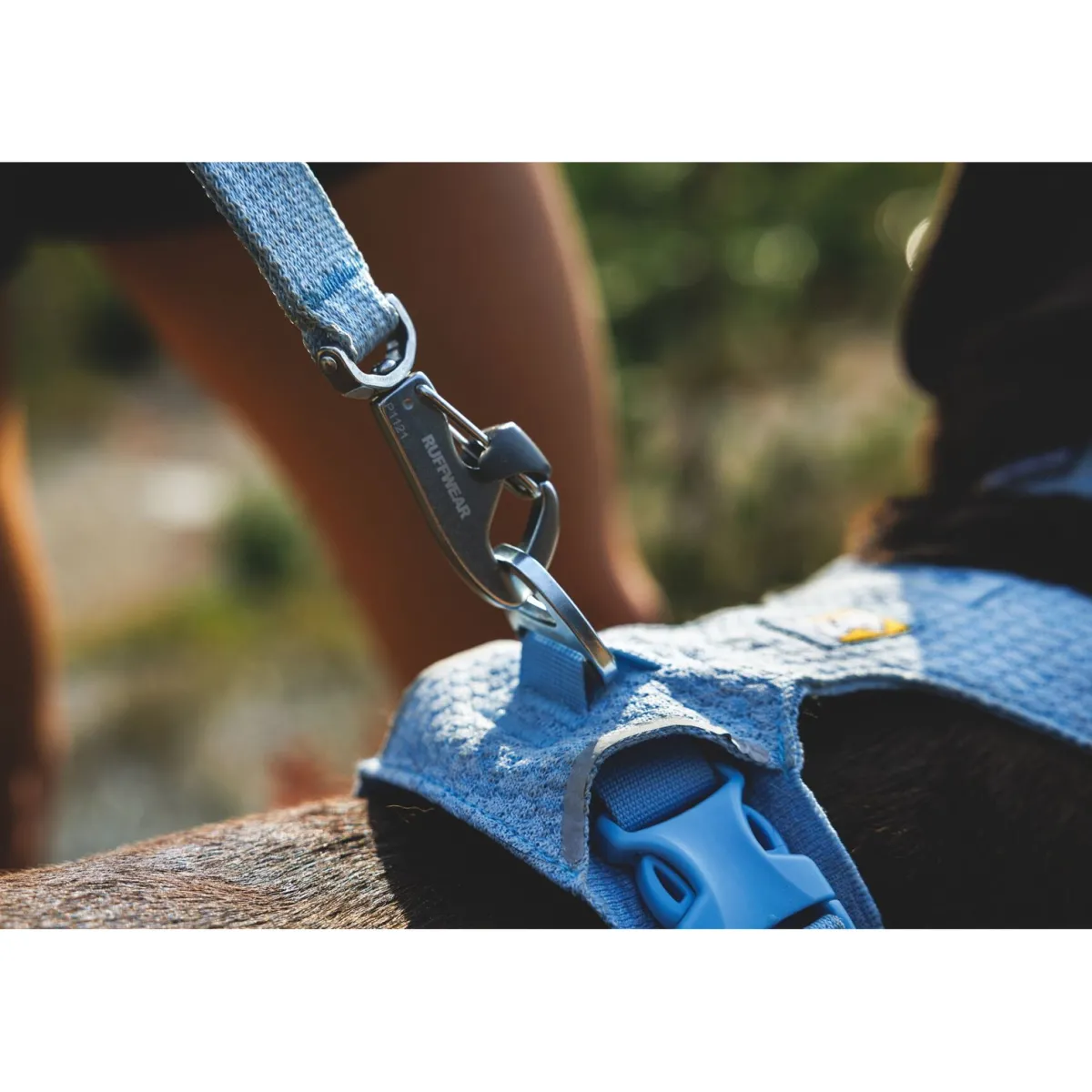 Front Range Flex hihna>RuffWear New