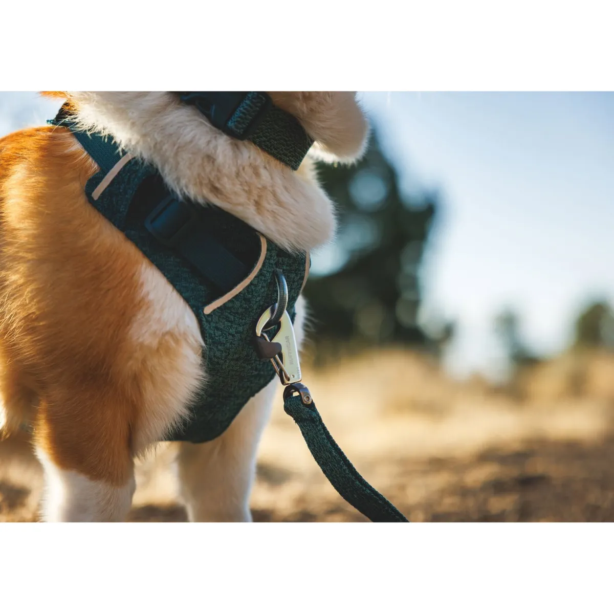 Front Range Flex koiranvaljaat, Deep Teal>RuffWear Best