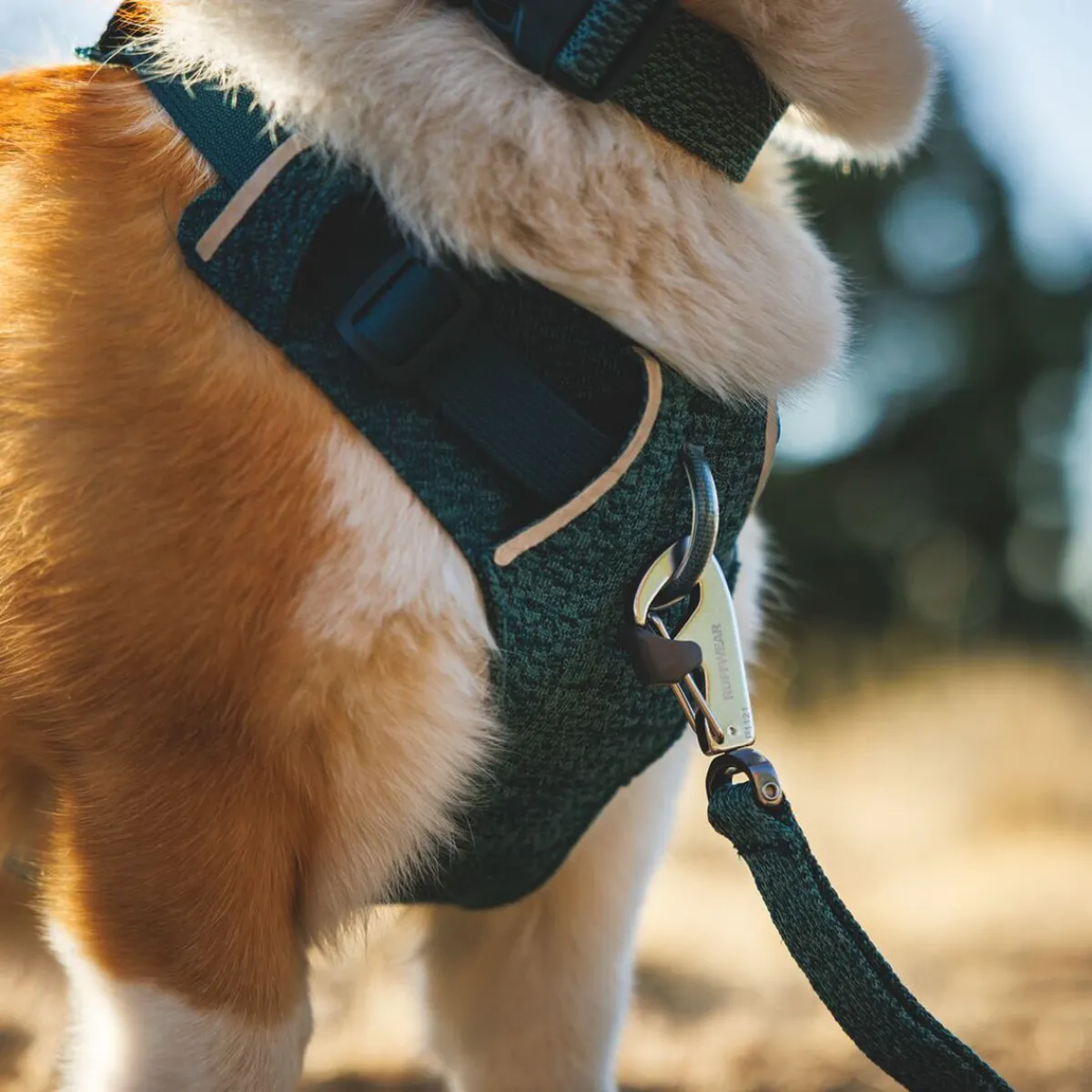 Front Range Flex koiranvaljaat, Deep Teal>RuffWear Best