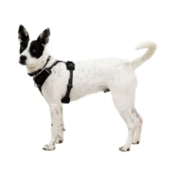 Front Range Flex valjas, Basalt Gray>RuffWear Online