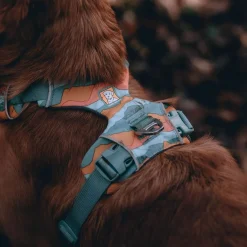Front Range koiranvaljaat, Spring Mountains>RuffWear Best