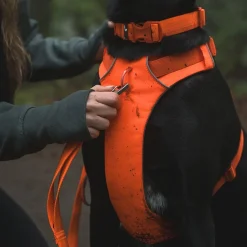 Front Range valjaat, Blaze Orange>RuffWear Hot