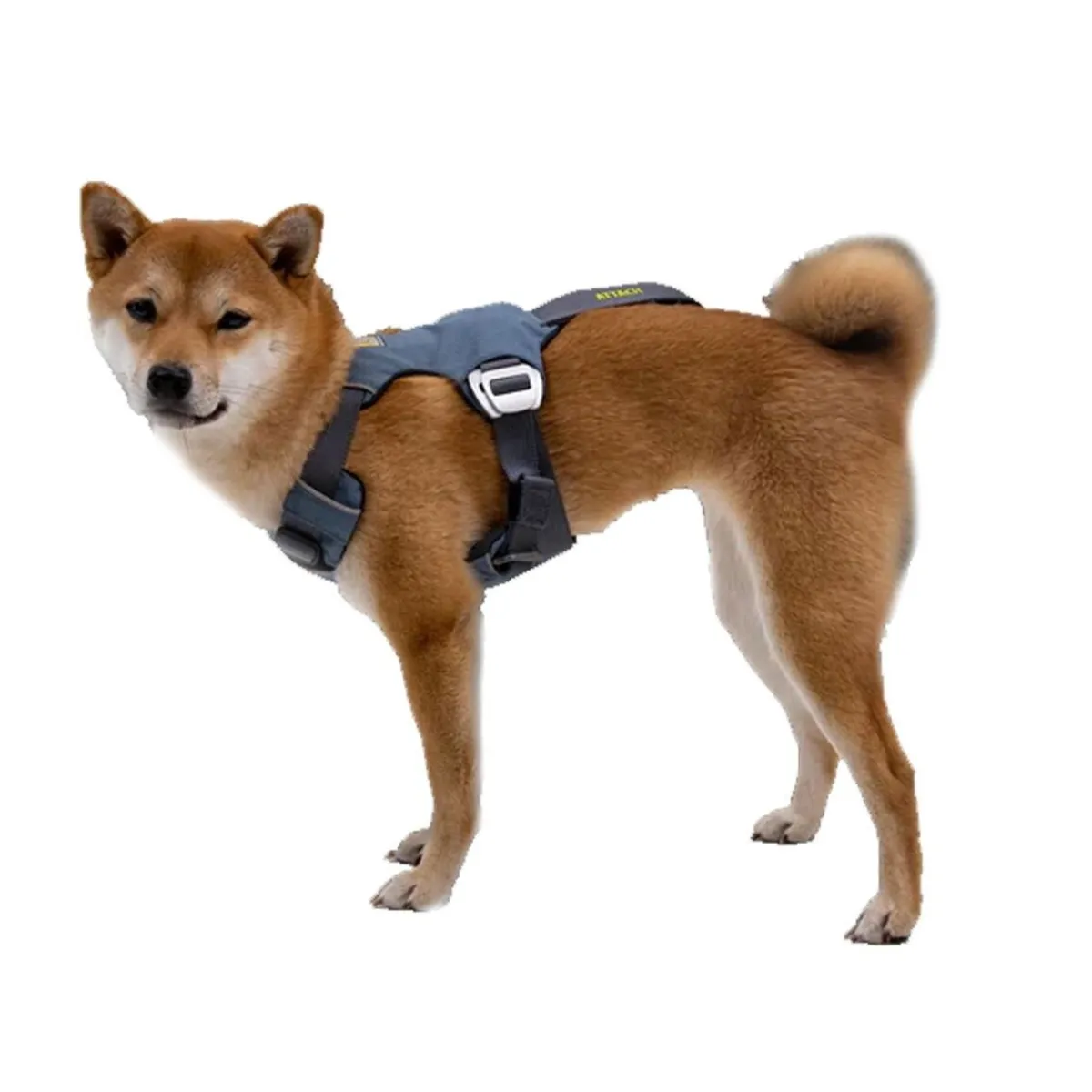 Load Up valjas Slate Blue>RuffWear Clearance