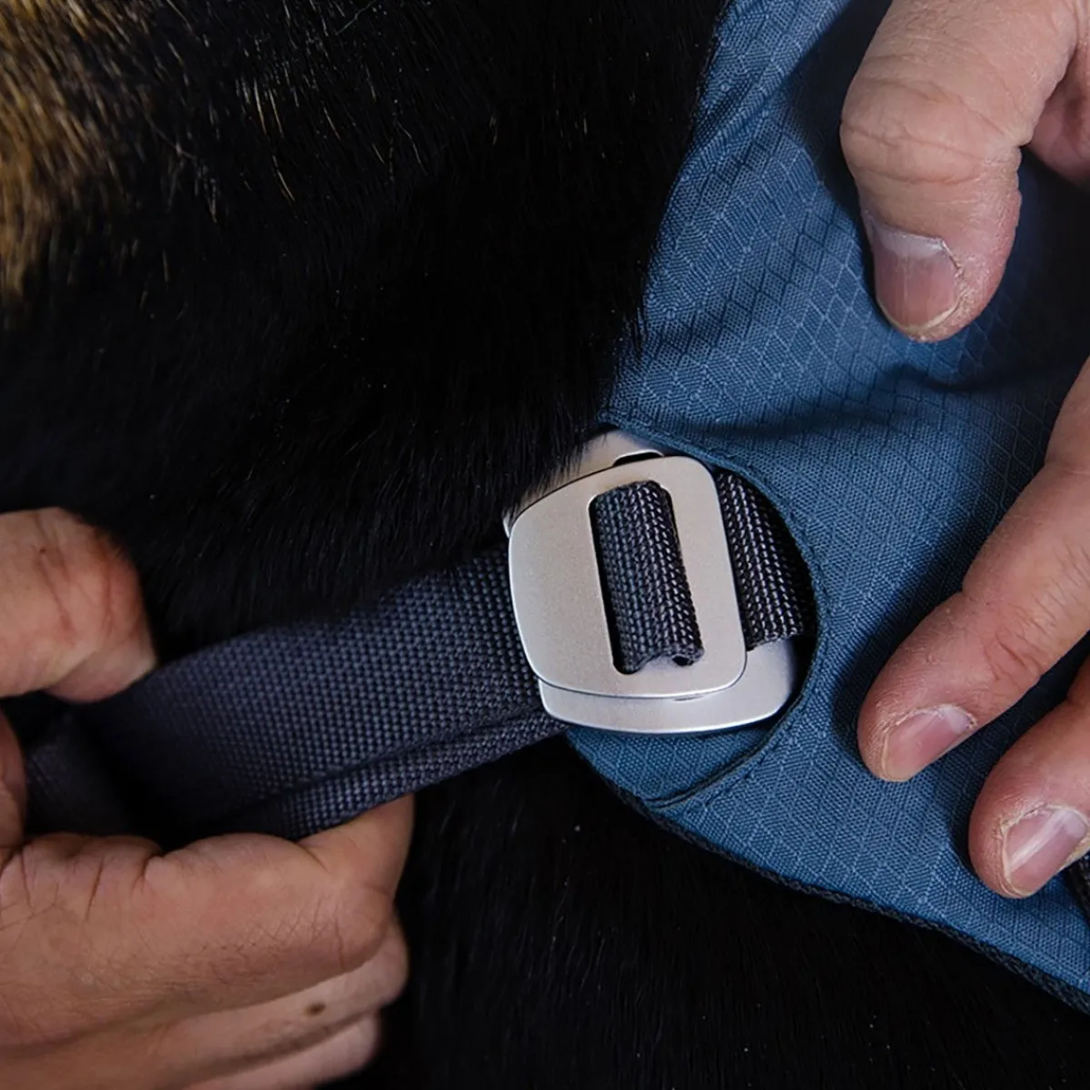 Load Up valjas Slate Blue>RuffWear Clearance