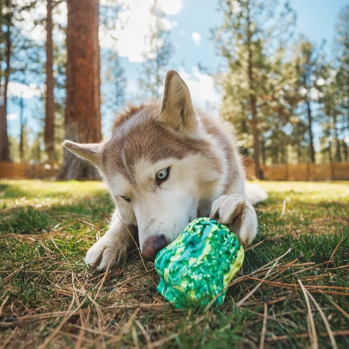 Morel™>RuffWear Discount