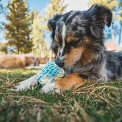 Morel™>RuffWear Discount