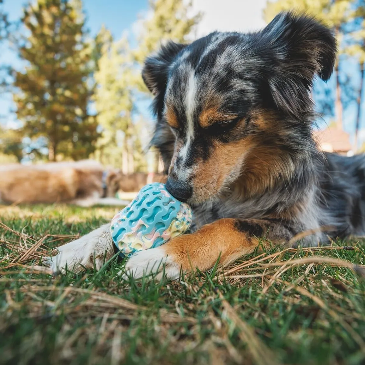 Morel™>RuffWear Discount