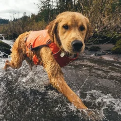 Pelastusliivi Confluence, Tangelo Orange>RuffWear