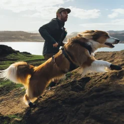Ridgeline -koiran kengät>RuffWear Best